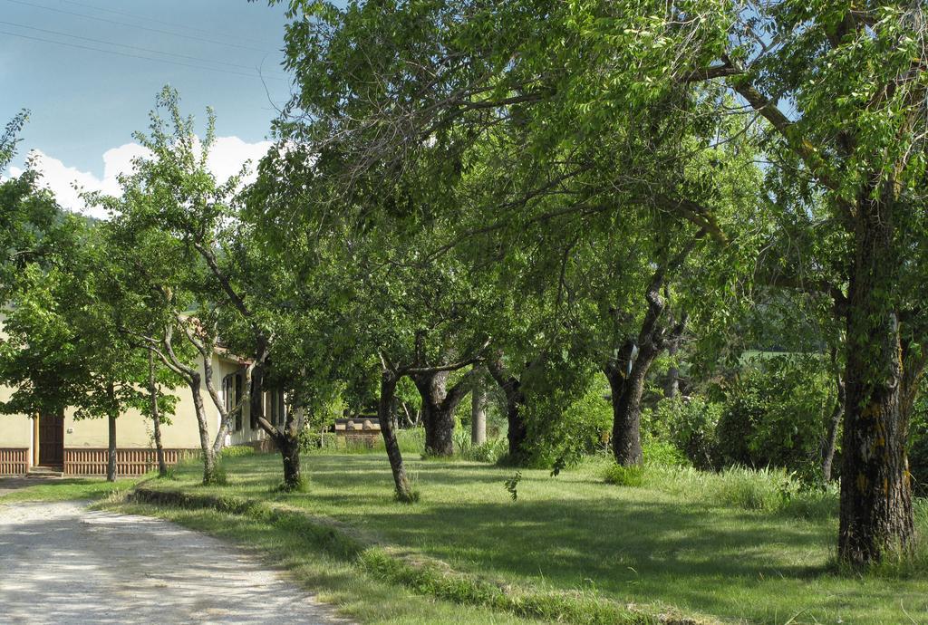 Agriturismo Il Casalone Montepulciano Stazione المظهر الخارجي الصورة